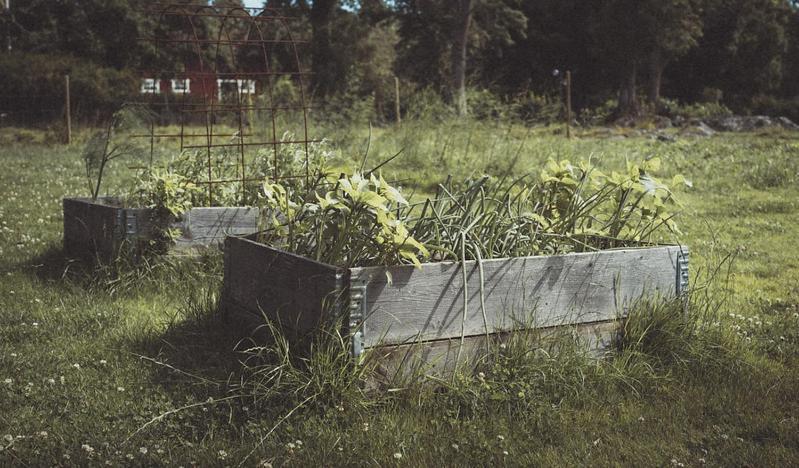 Folk Och Fae Hotel Grisslehamn Exterior foto
